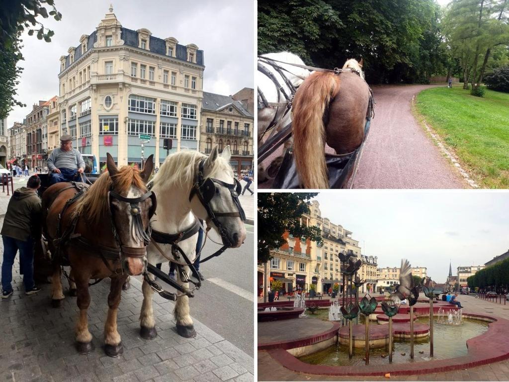 Le Classique - Appartement Elegant & Lumineux En Centre-Ville Douai Dış mekan fotoğraf